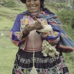peruvian drop spinner (2)