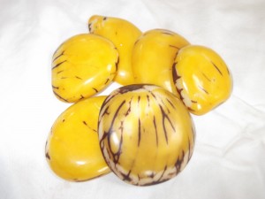 DSCF7147