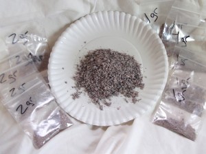 cochineal